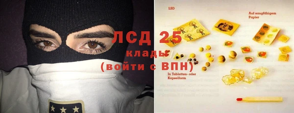 винт Липки