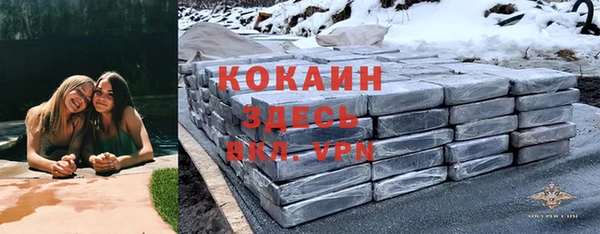 винт Липки