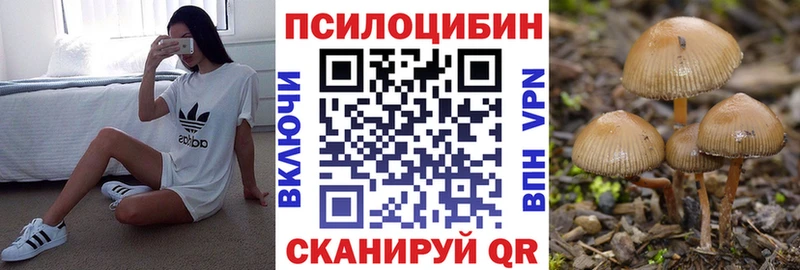 Галлюциногенные грибы мицелий  blacksprut ONION  Новотитаровская 